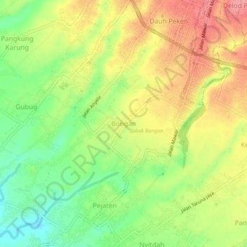 Mapa topográfico Bongan, altitud, relieve