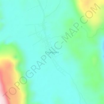 Mapa topográfico Papagayos, altitud, relieve