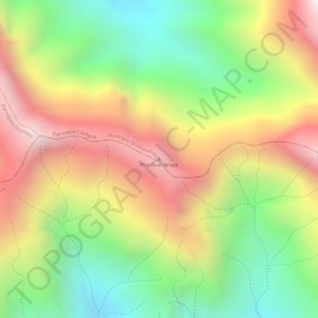Mapa topográfico Pico Guacamaya, altitud, relieve