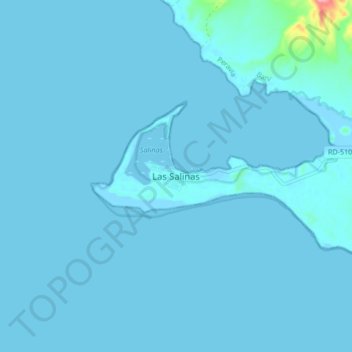 Mapa topográfico Las Salinas, altitud, relieve